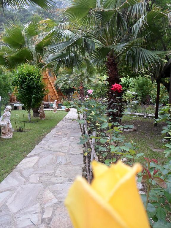 Oran Pansiyon Agac Evler Hotel Cirali Exterior photo